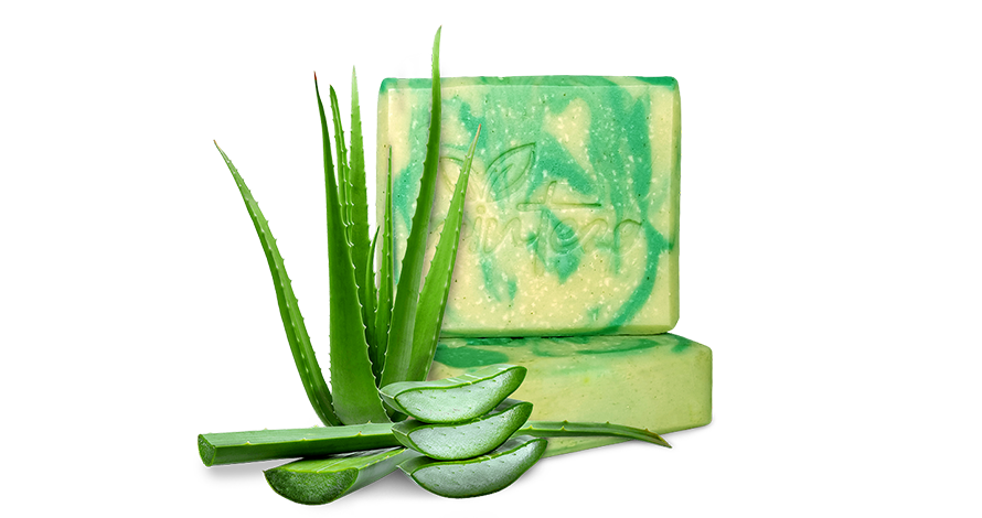 Aloe Vera Bar